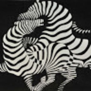 Meet your Posher, Zachary